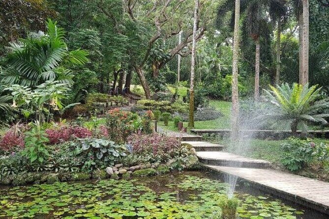 Discover Mud pool/Hot -Spring Nadi - Pricing and Overall Value