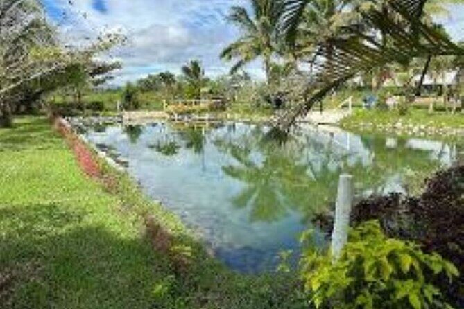 Discover Mud pool/Hot -Spring Nadi - Authenticity and Practical Tips