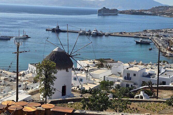 Discover Mykonos Island In Half Day Private Tour - FAQs