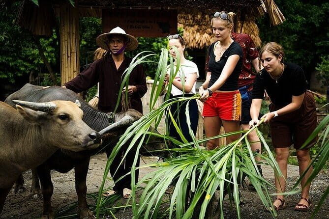 Discover Ninh Binhs Highlights Hidden Gems 1 Day Motorbike Tour - Key Points