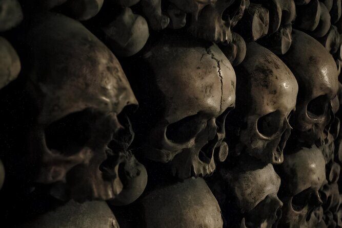 Discover Notre Dames Crypt with an Archeologist + River Cruise - Final Thoughts