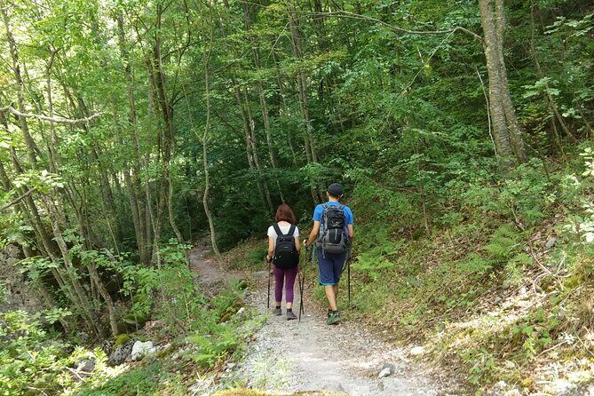 Discover Olympus & Dion: Private Day Trip from Thessaloniki - Who Will Love This Experience?