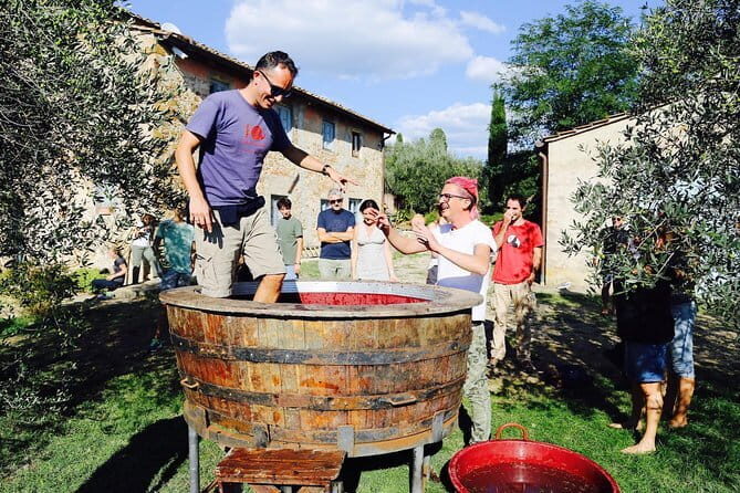 Discover Organic and Biodynamic Chianti Small Wineries - Exploring the Organic and Biodynamic Chianti Wineries: A Detailed Review