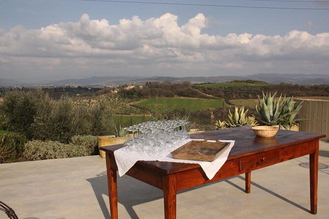 Discover Organic and Biodynamic Chianti Small Wineries - Who Will Love This Tour?