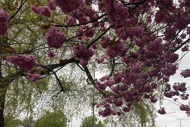 Discover Oslo on foot - FAQs