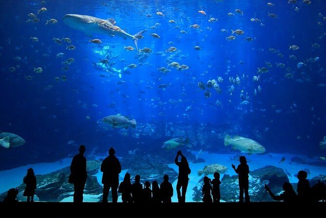 Discover Pattaya Underwater World with FREE Hotel Pickup - The Sum Up
