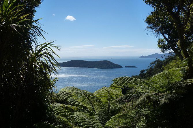 Discover Picton: Self-Guided Audio Tour - The Sum Up