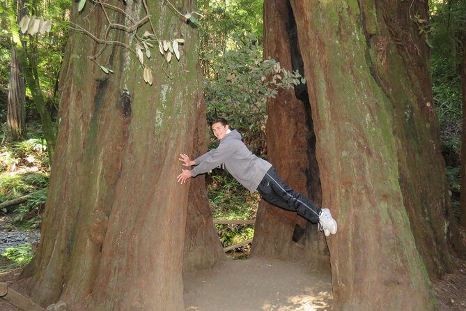 Discover Point Reyes National Seashore & Muir Woods Redwoods - An In-Depth Look at the Tour Experience