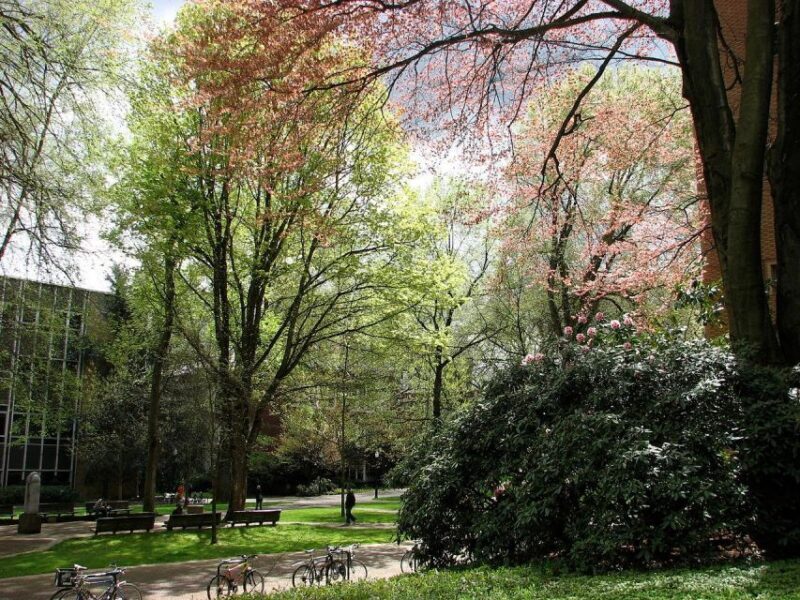 Discover Portland: Guided Sightseeing Tour (Most popular!) - FAQ