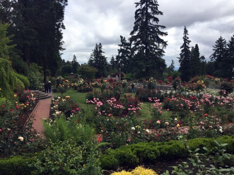 Discover Portland: Half-Day Small Group City Tour - Who is this tour best suited for?