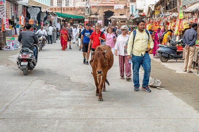 Discover Pushkar Town with Local Guide & Jaipur Drop from Jodhpur - Final Thoughts