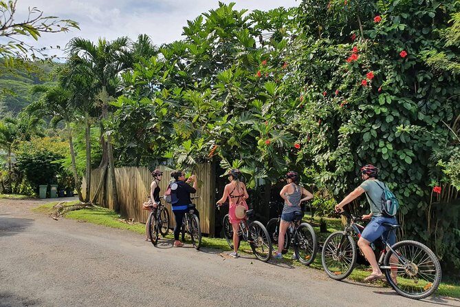 'Discover' Rarotonga Cycling Tour with Lunch - Key Points