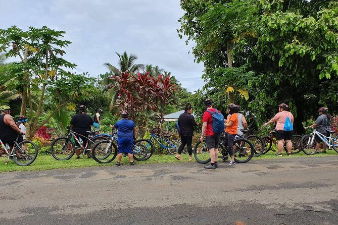 'Discover' Rarotonga Cycling Tour with Lunch - Practical Tips for Participants