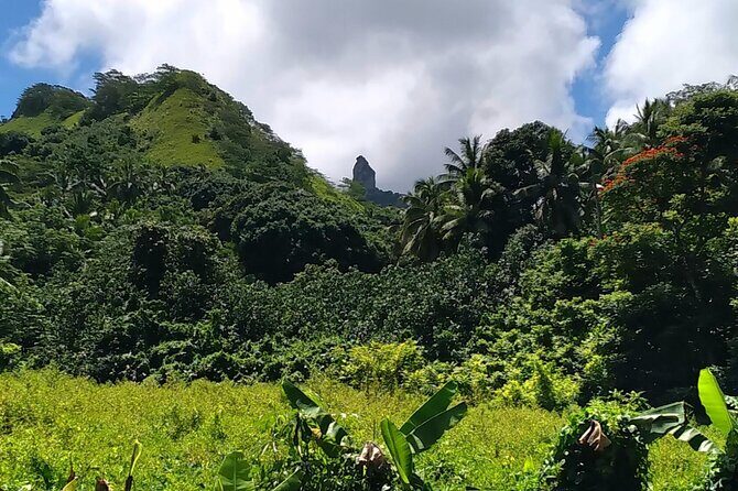 'Discover' Rarotonga Cycling Tour with Lunch - Authentic Reviews That Speak Volumes