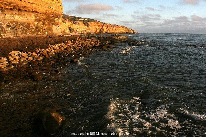 Discover San Diego's Beaches: Private Driving Tour - What’s Included and What to Expect