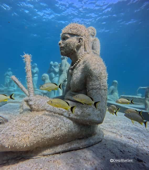 Discover Scuba at the Underwater Sculpture Park - Frequently Asked Questions