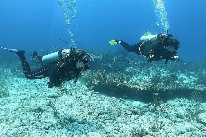 Discover Scuba - What Makes This Experience Special?