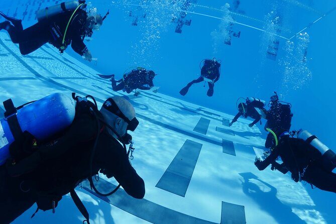 Discover Scuba Diving - An In-Depth Look at What You Can Expect