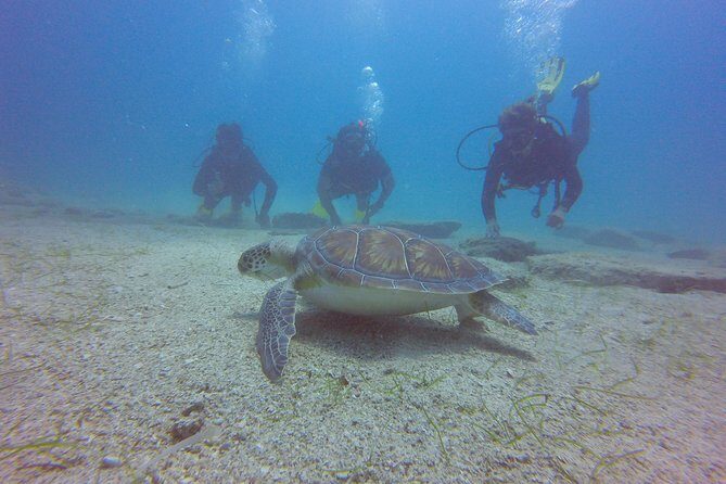 Discover Scuba diving - FAQ