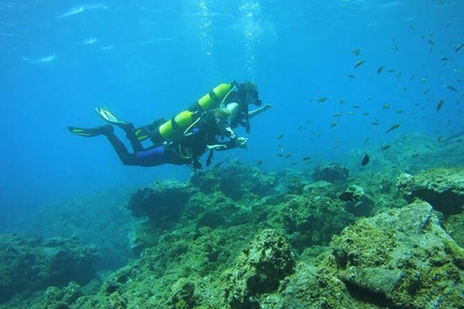Discover Scuba Diving - Marine Life and the Underwater Landscape