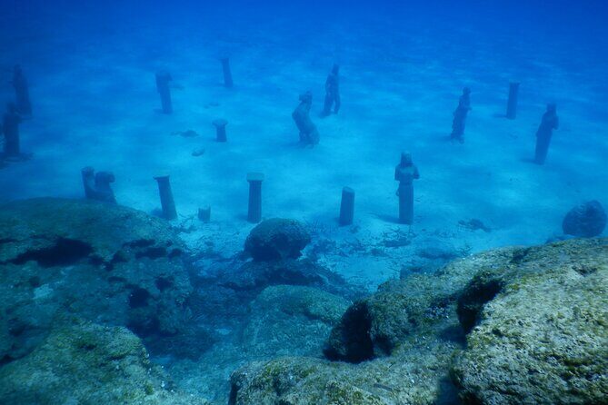 Discover Scuba Diving - Why This Tour Is Worth It