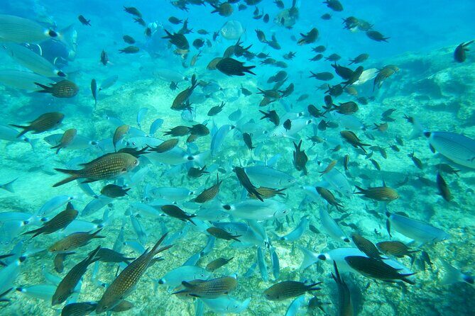 Discover Scuba Diving - Who Is This Tour Perfect For?