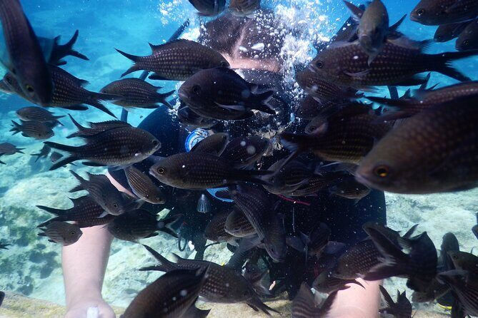 Discover Scuba Diving - The Sum Up