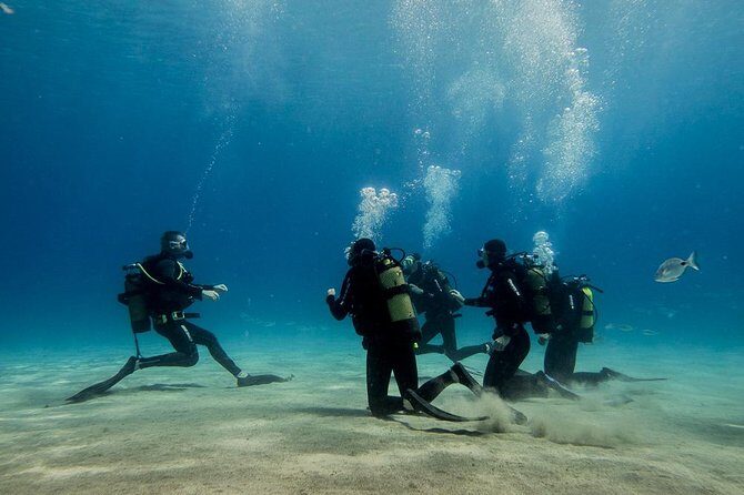 Discover Scuba Diving - Why This Tour Offers Great Value