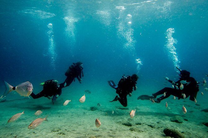 Discover Scuba Diving - FAQ