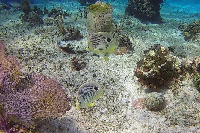 Discover Scuba Diving - The Guides and Instruction: Why It Matters