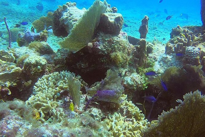 Discover Scuba Diving - Flexibility and Cancellation