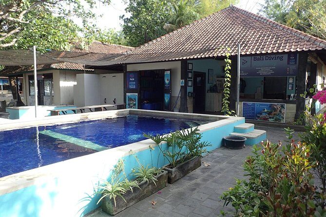 Discover Scuba Diving and dive in Menjangan Island Marine Park 2 dives - An In-Depth Look at What the Tour Offers
