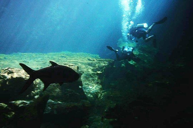 Discover Scuba Diving at Casa Cenote - Final Thoughts: Is This Tour Right for You?