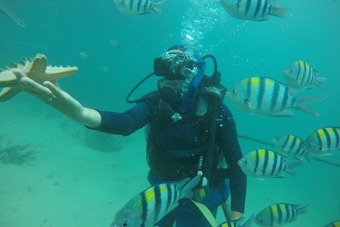 Discover Scuba Diving ( beginners) Combined With Jet Ski - A Closer Look at the Experience