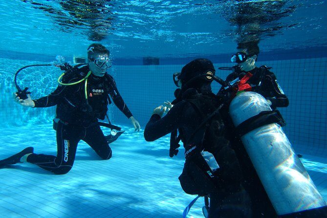 Discover Scuba Diving Course in Playa del Carmen with Two Coral Reef Dives - An In-Depth Look at the Playa del Carmen Discover Scuba Tour