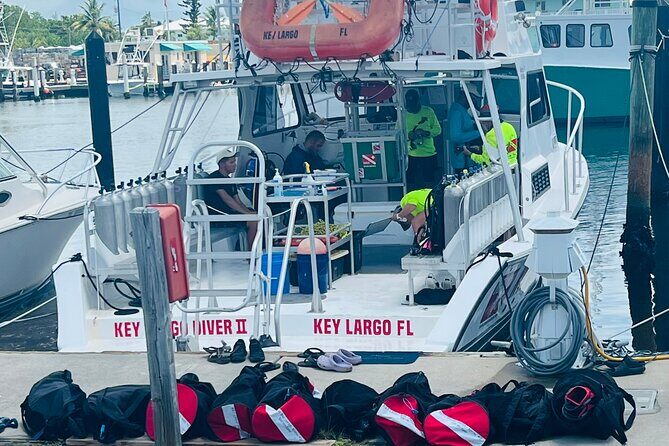 Discover Scuba Diving Course Pool Training Session in Key Largo. - An In-Depth Look at the Pool Training Experience