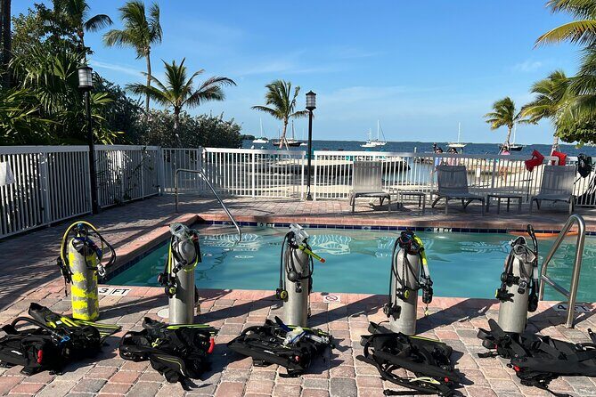Discover Scuba Diving Course Pool Training Session in Key Largo. - Authentic Reviews and Real Experiences