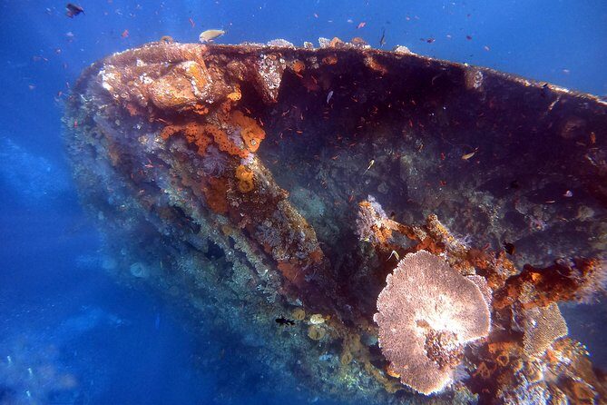 Discover Scuba Diving - Why This Tour Stands Out