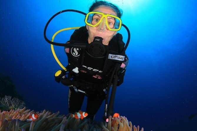 Discover Scuba Diving - Pricing and Value