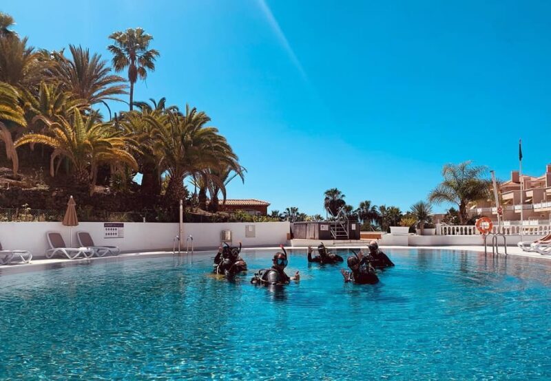 Discover Scuba Diving Experience - Is This Tour Right for You?