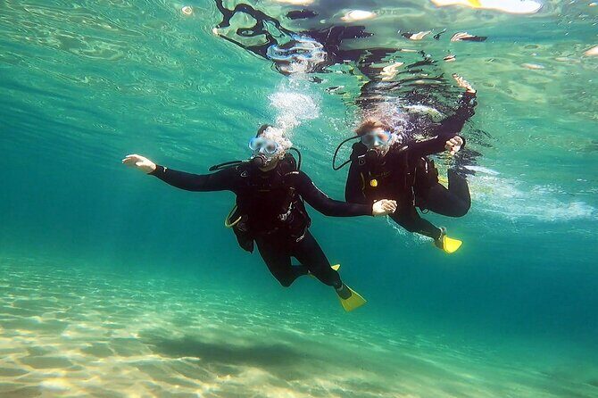 Discover Scuba Diving Experience in Nea Makri, Athens - Post-Dive & Media