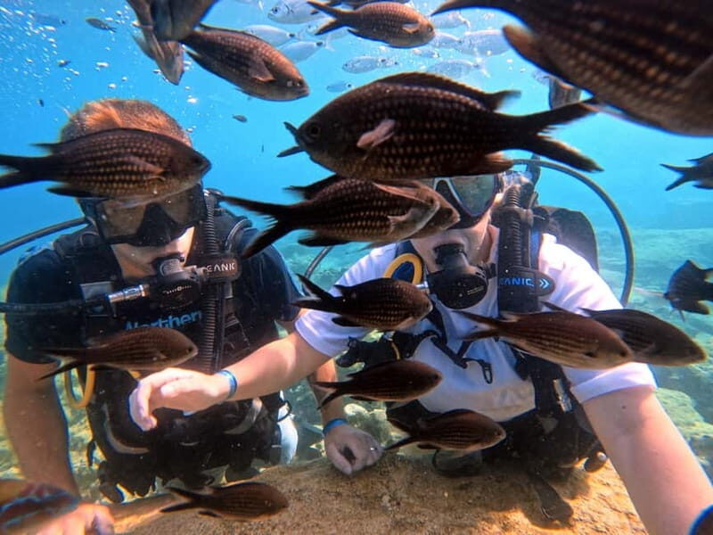 Discover Scuba Diving Experience - Key Points