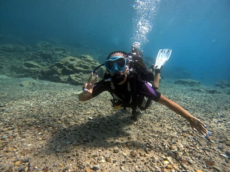 Discover Scuba Diving Experience - The Practical Side: Booking, Cost, and What’s Included