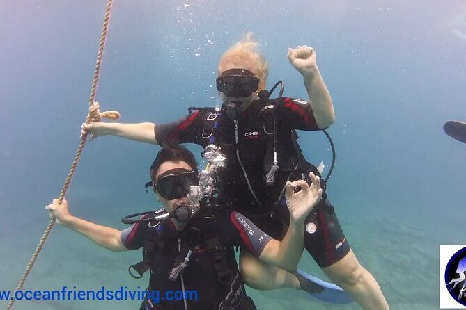 Discover Scuba Diving, free pictures included - Why Choose This Scuba Experience in Tenerife?