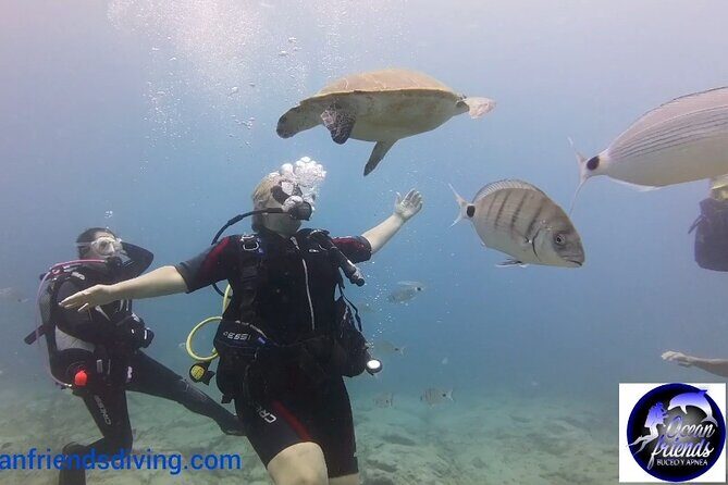 Discover Scuba Diving, free pictures included - The Sum Up: Is It Worth It?