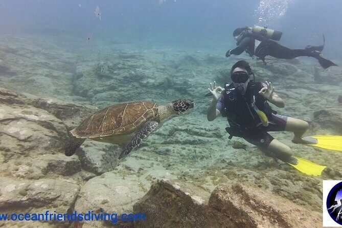 Discover Scuba Diving, free pictures included - FAQ