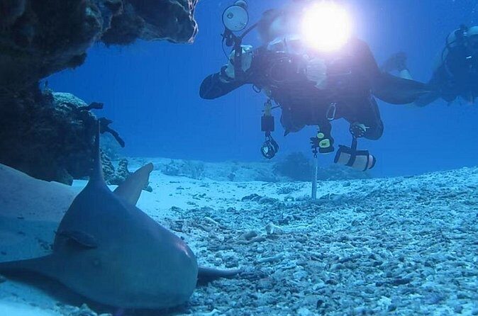 Discover Scuba Diving From Boat - FAQs About the Discover Scuba Diving Tour