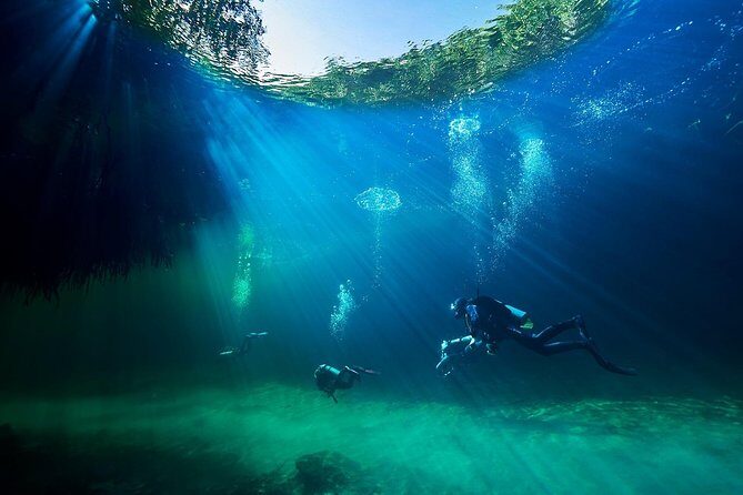 Discover Scuba Diving in cenote Casa including underwater video! - Key Points