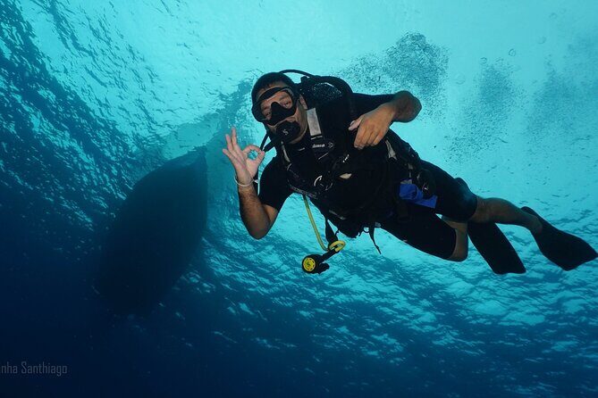 Discover Scuba Diving in Cozumel - Pricing and Value