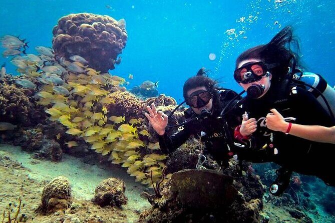 Discover Scuba Diving in Cozumel Paradise Reef - Authentic Experiences and Authentic Guides
